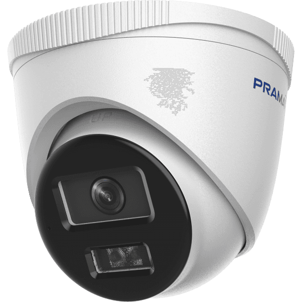 PT-NC143D7-WNMS/AW(D2)